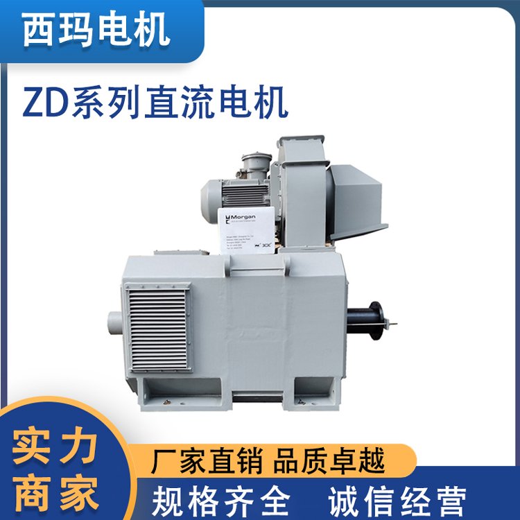 利特西瑪ZD系列中型直流電動機自動穩(wěn)速反應靈敏專業(yè)電機生產(chǎn)廠家