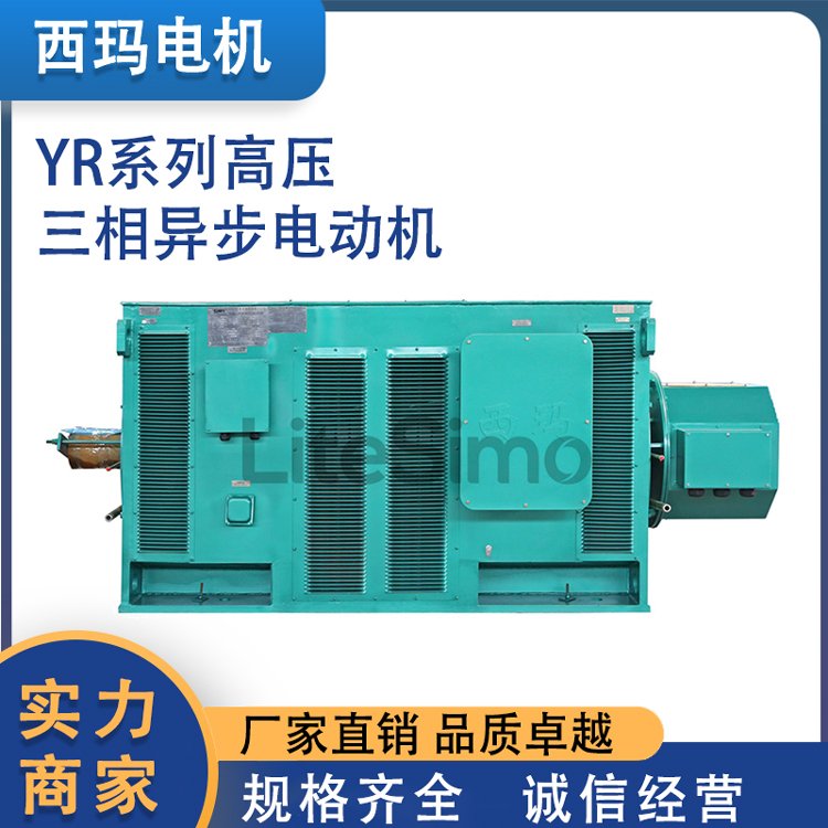 YR系列高壓6KV\/10KV三相異步電動(dòng)機(jī)繞線型轉(zhuǎn)子電機(jī)防護(hù)等級(jí)IP23