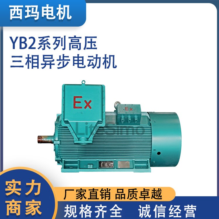 Y系列高壓6KV\/10KV三相異步電動機YB2\/YB3鼠籠型轉(zhuǎn)子電機生產(chǎn)廠家