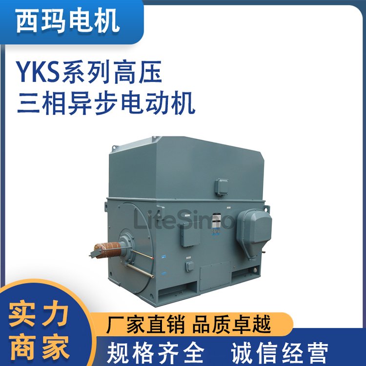 利特西瑪YKS系列高壓6KV\/10KV三相異步電動(dòng)機(jī)廠(chǎng)家高效節(jié)能噪音低