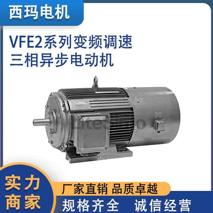 YVFE2系列變頻調(diào)速三相異步電動機(jī)過載能力強(qiáng)低速性能好利特西瑪