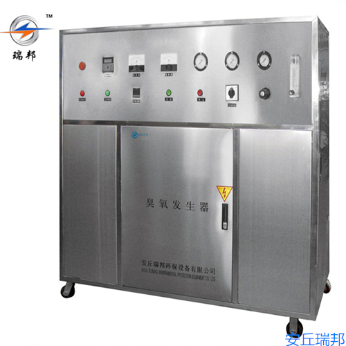 瑞邦臭氧發(fā)生器生產(chǎn)廠家直供水處理臭氧機(jī)殺菌消毒臭氧設(shè)備
