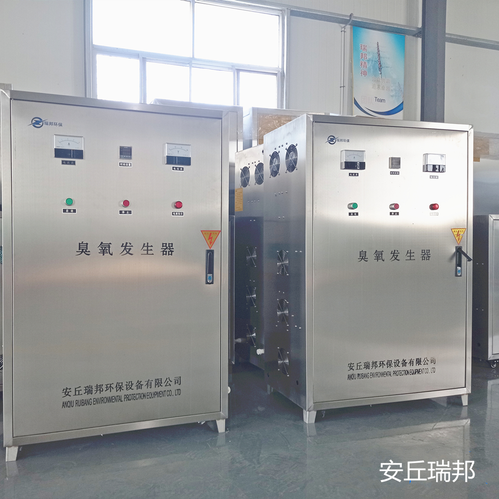 瑞邦殺菌消毒凈化除味臭氧機小型水冷高效臭氧發(fā)生器耐用可靠