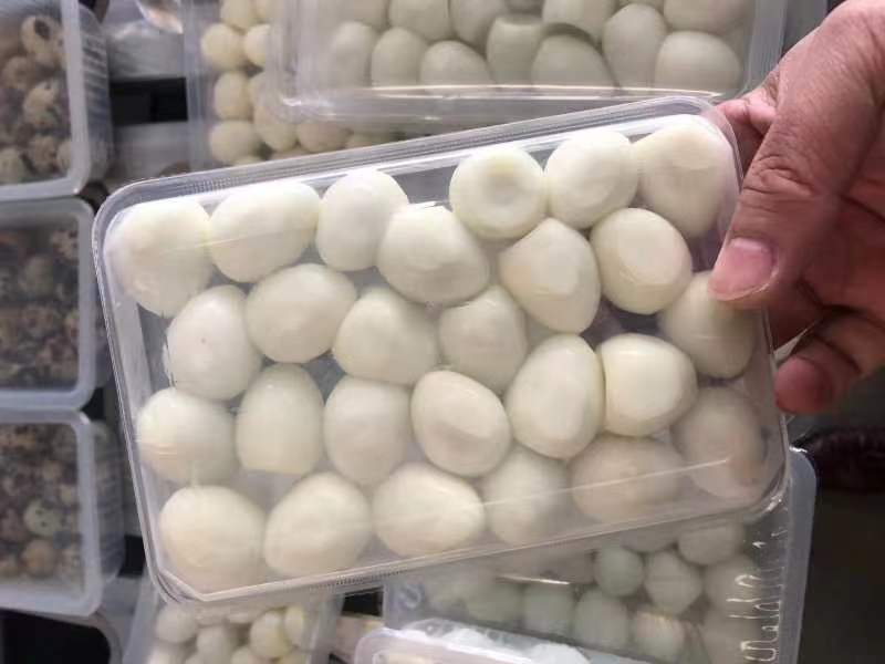 清水無殼鵪鶉蛋封盒包裝機(jī)無氣泡一出六盒雙工位