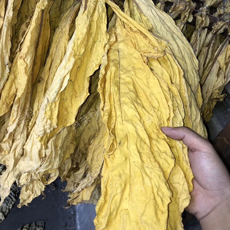 空氣能煙葉烘干房熱泵煙草烘干機全自動電烤房干燥設備大小可定制