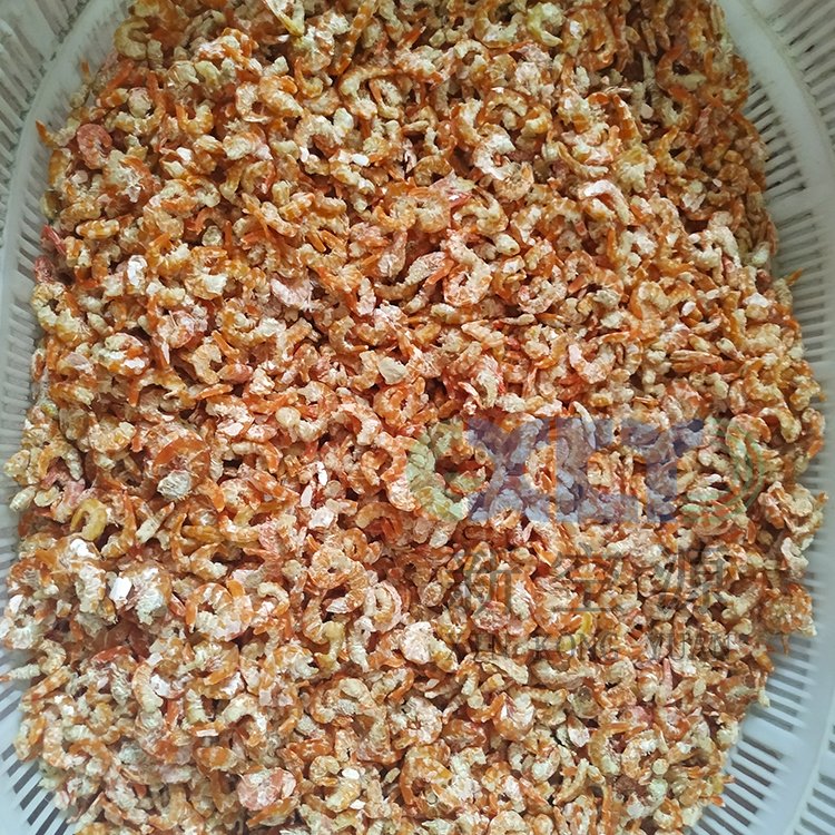 空氣能蝦米烘干機(jī)熱泵海鮮烘干房魚蝦箱式干燥機(jī)設(shè)備智能電烤房