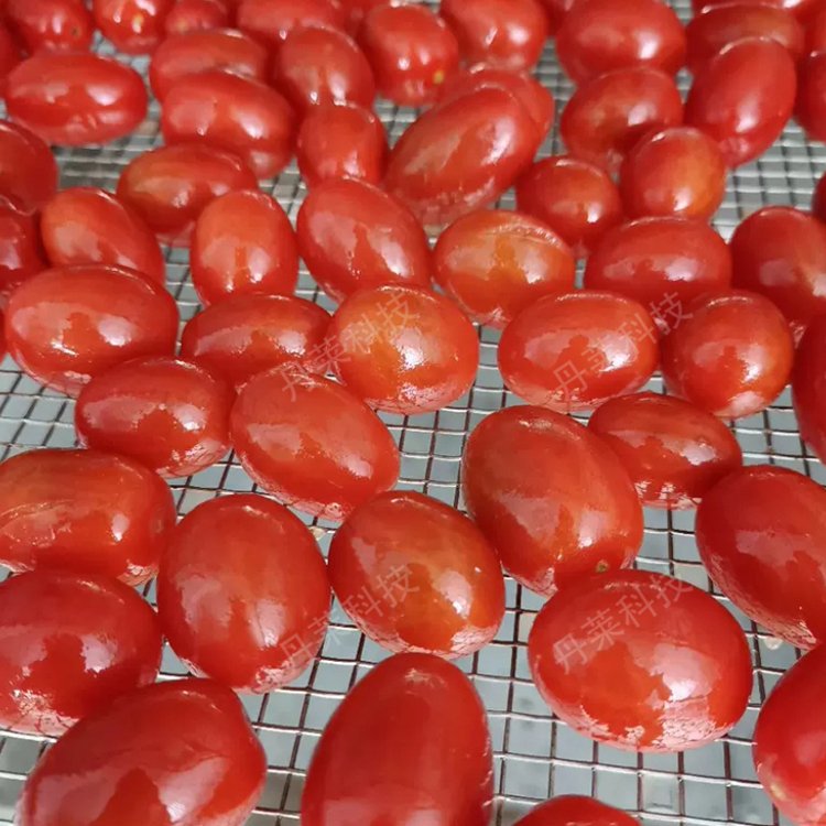 熱泵圣女果烘干機小番茄烘干房西紅柿箱式干燥設(shè)備果脯蜜餞電烤房