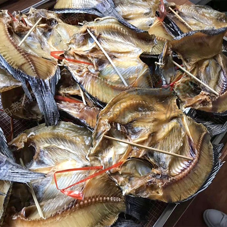 羅非魚烘干機(jī)鯽魚烘干設(shè)備空氣能熱泵魚干烘箱海鮮電烤房新空源