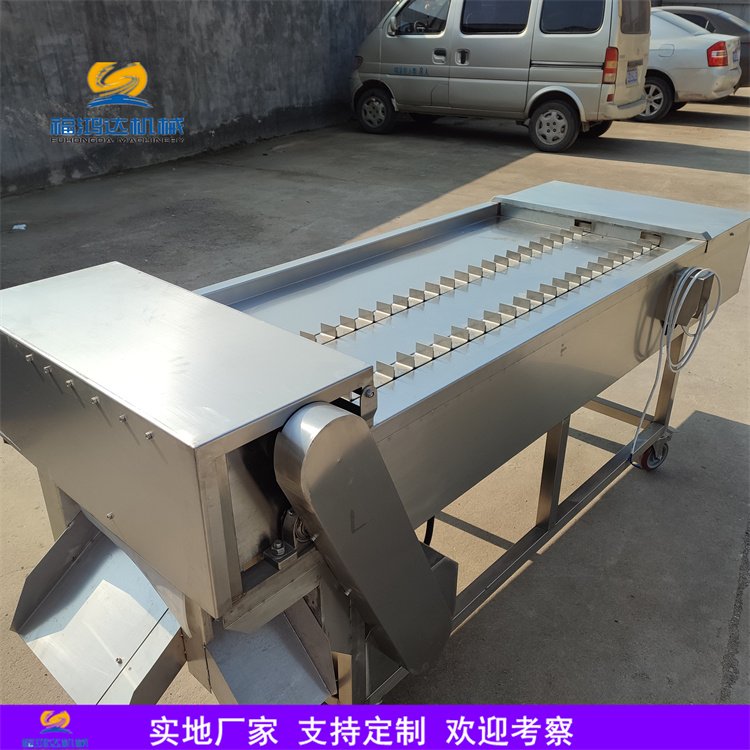 凍帶魚(yú)切段機(jī)切帶魚(yú)設(shè)備刀魚(yú)段切魚(yú)機(jī)掛冰機(jī)福鴻達(dá)生產(chǎn)