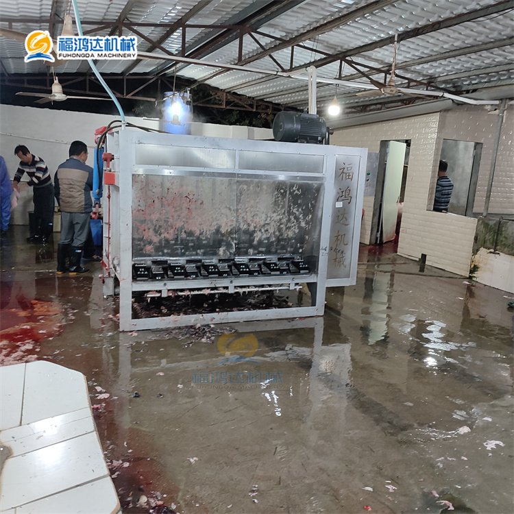 整豬燙池打毛機生豬屠宰設(shè)備豬脫毛機個體生豬屠宰成套設(shè)備