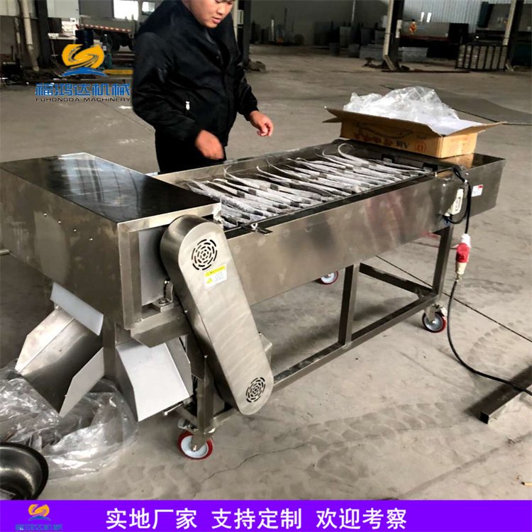 帶魚掛冰機(jī)凍帶魚切段機(jī)切魚機(jī)鮮魚切段設(shè)備福鴻達(dá)