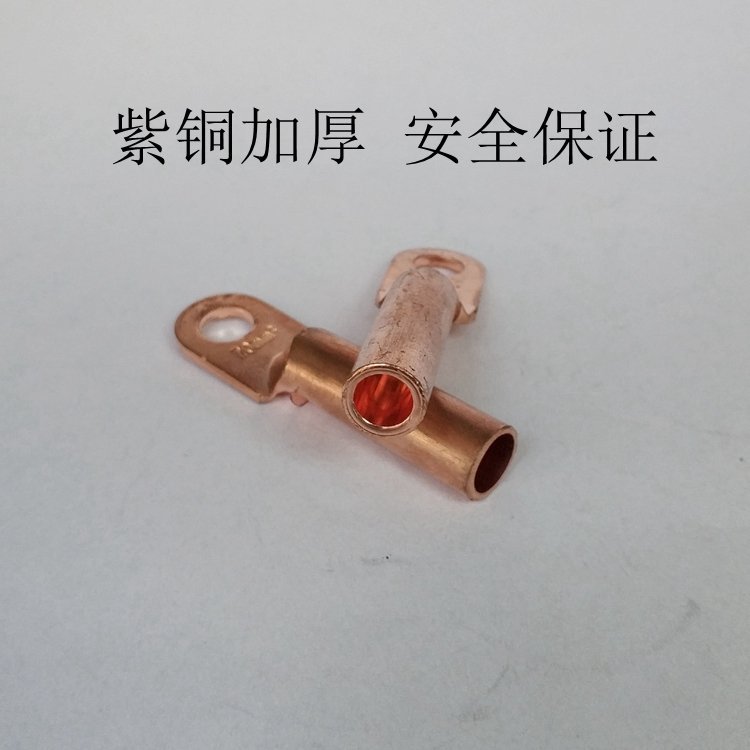 定做銅鼻子廠家,非標(biāo)銅鼻子定做,雙孔銅鼻子定做,16平方線鼻定做