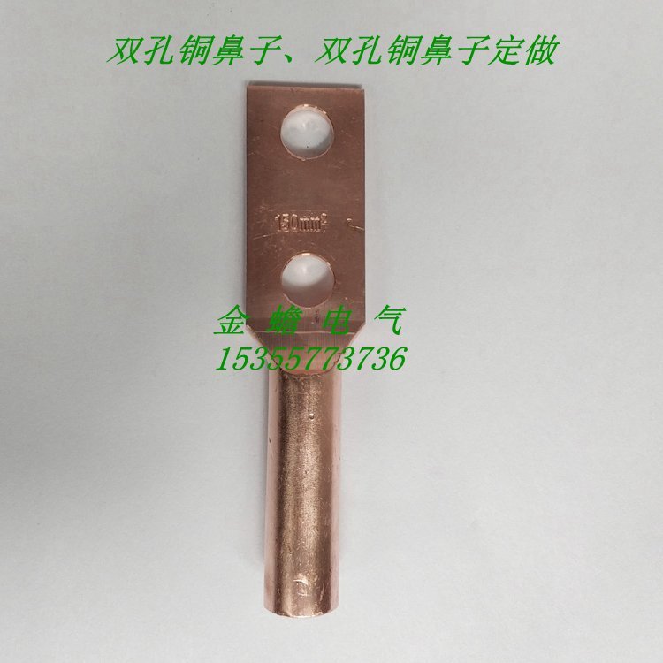 非標(biāo)雙孔銅鼻子