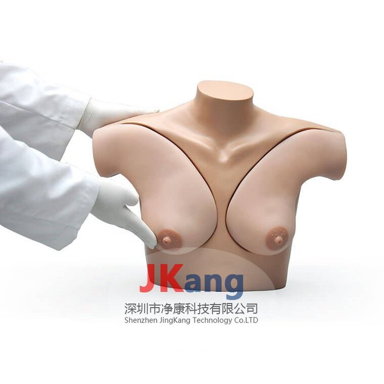 GaumardS230.40乳房觸診技巧教練模體臨床教學(xué)體模