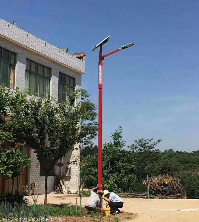 中源節(jié)能鄉(xiāng)村建設(shè)戶外道路照明太陽能路燈專用6米庭院ZYTL-3129