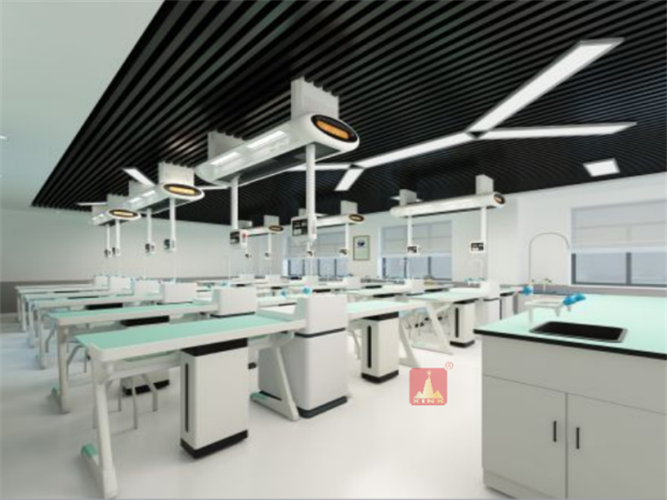 生物實驗室成套設備高質(zhì)量標準高檔次高安全耐用