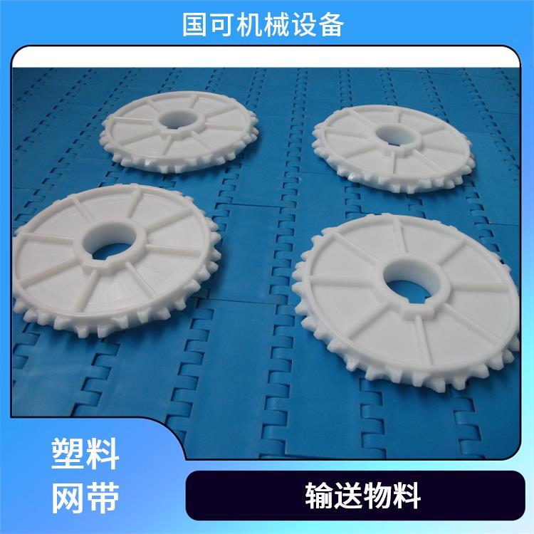 國可19.05mm1000型網(wǎng)帶結(jié)構(gòu)堅固維護(hù)工作簡單