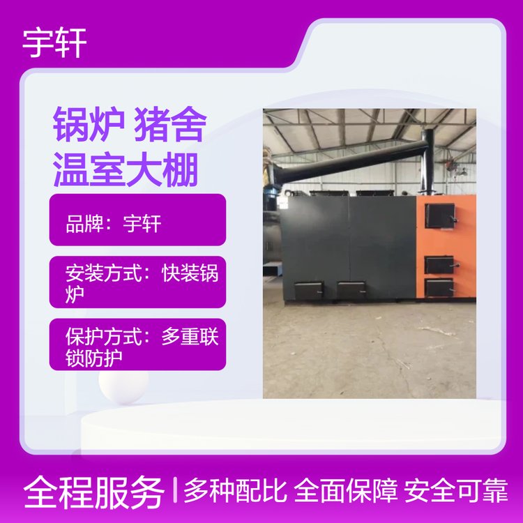 特種養(yǎng)殖鍋爐燃煤反燒水暖豬舍昆蟲雞鴨鵝育雛溫室大棚升溫