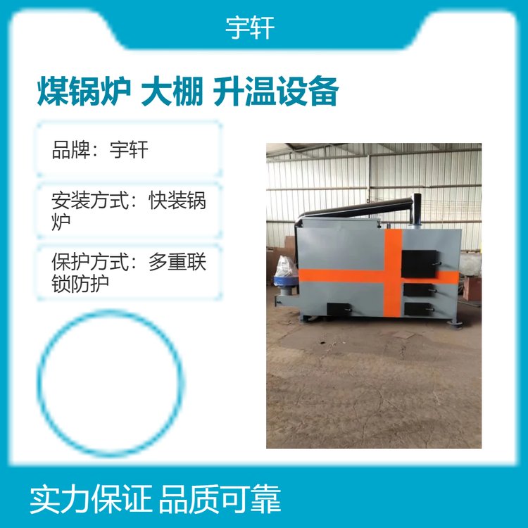 反燒燃煤鍋爐葡萄大棚升溫溫室大棚養(yǎng)昆蟲蛇養(yǎng)殖升溫設(shè)備