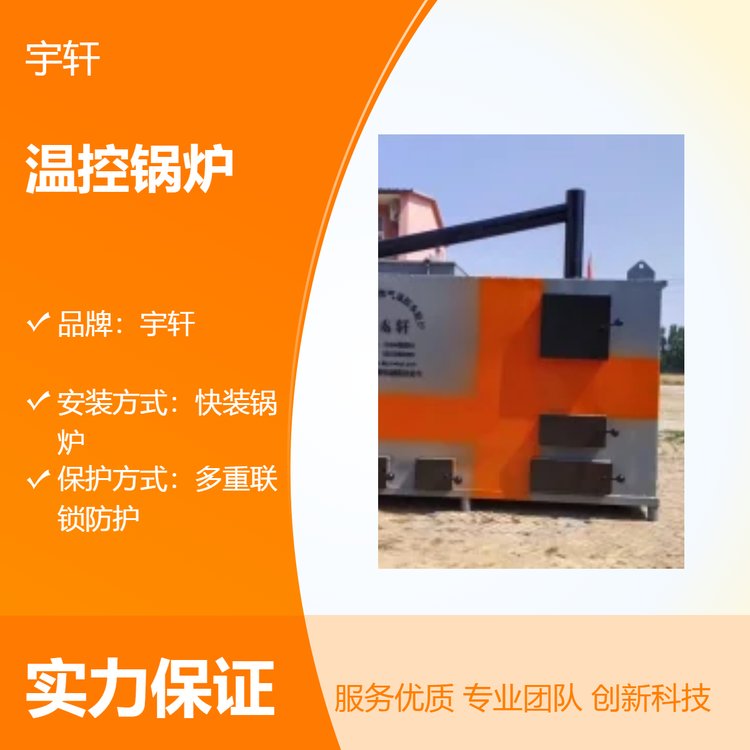 溫控鍋爐高效節(jié)能快裝氣化燃燒室內(nèi)室外用養(yǎng)殖蔬菜大棚升溫