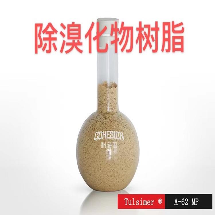 礦泉水除溴酸鹽樹脂A-62MP-溴化物超標(biāo)處理離子交換設(shè)備