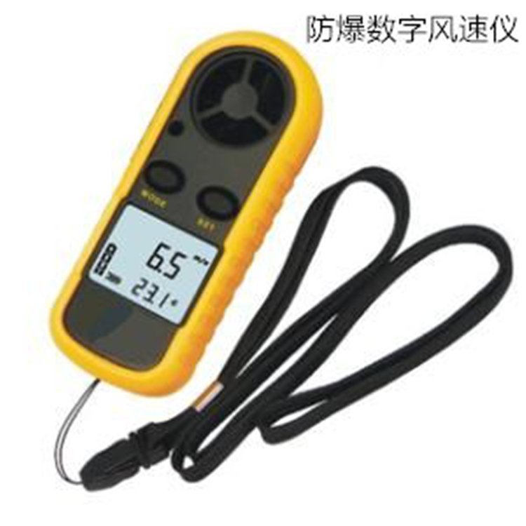 EX-JDM1青島防爆數字風速儀路博自產