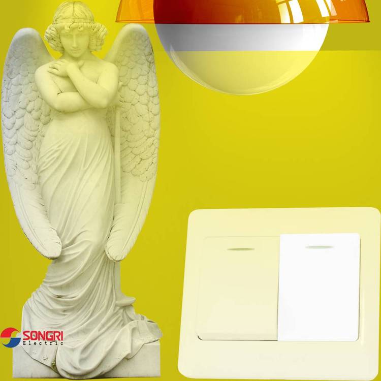 上海松日(SONGRI)86型暗裝明裝二開單雙控防濺防水防潮雙聯(lián)墻壁開關面板吸頂燈壁燈電源開