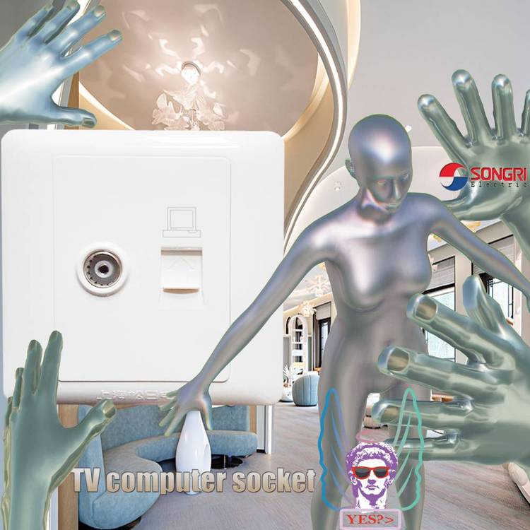 上海松日SONGRI網(wǎng)絡(luò)信息插座面板安裝電視電腦插座面板86型暗裝光纖超六類墻壁插座