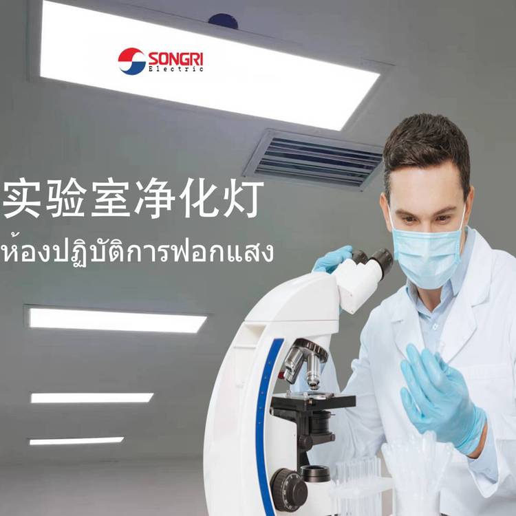 上海松日（SONGRI）凈化燈led甲醛、甲苯除灰、殺菌去除散光潔凈燈253.7納米波長健康燈