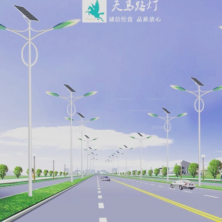 成都太陽(yáng)能路燈廠_6米熱鍍鋅_超亮LED單臂路燈_廠家批發(fā)