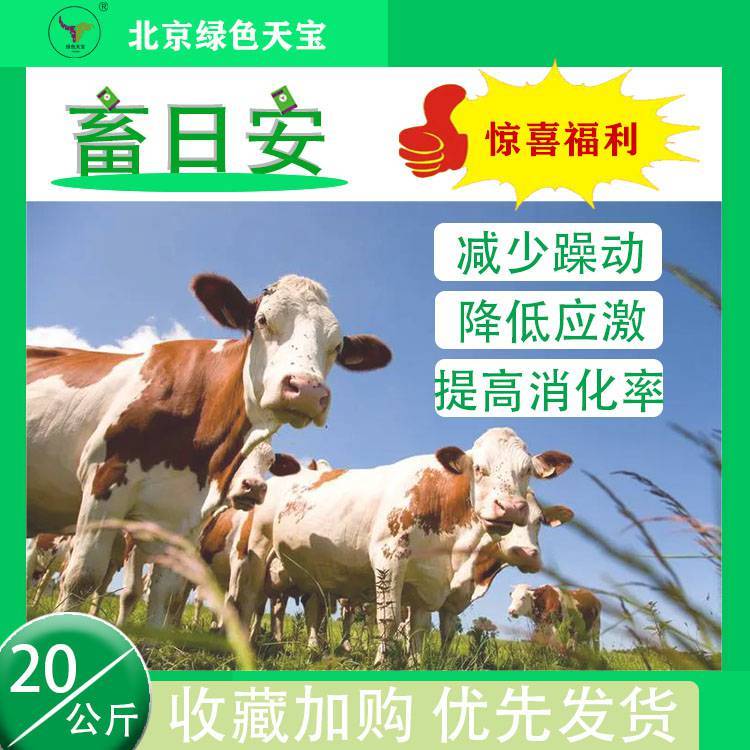 牛羊安靜趴窩，天寶力能畜日安不打架，減低應(yīng)激，減少躁動(dòng)效果顯著