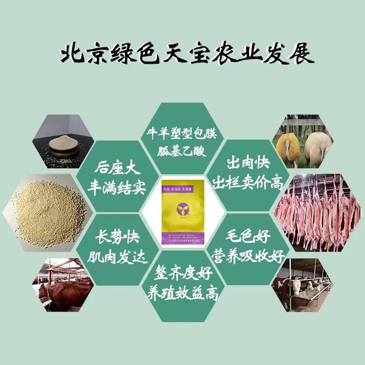 農(nóng)村育肥?？焖俅叻实拿胤饺ビ烷L瘦肉生長速度快