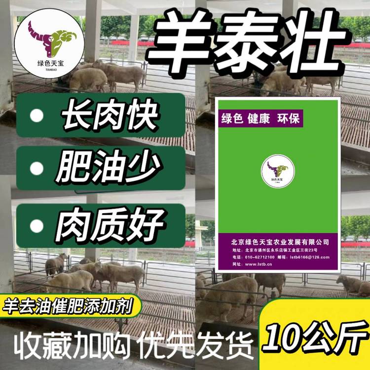 羊泰壯：助力肉羊養(yǎng)殖行業(yè)實現質量與效益的雙豐收