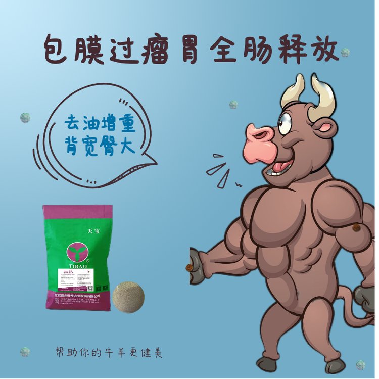 肉牛催肥小料包膜胍基乙酸力能去油塑型瘦肉多牛羊飼料