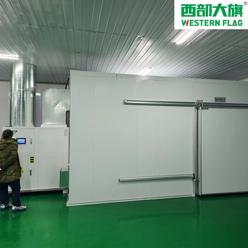 西部大旗芒果菠蘿香蕉水果空氣能烘干機(jī)節(jié)能運行成本低操作簡單