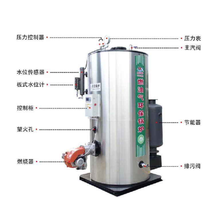 熱豐立式燃?xì)庹羝l(fā)生器低氮排放食品廠釀酒洗滌烘干用