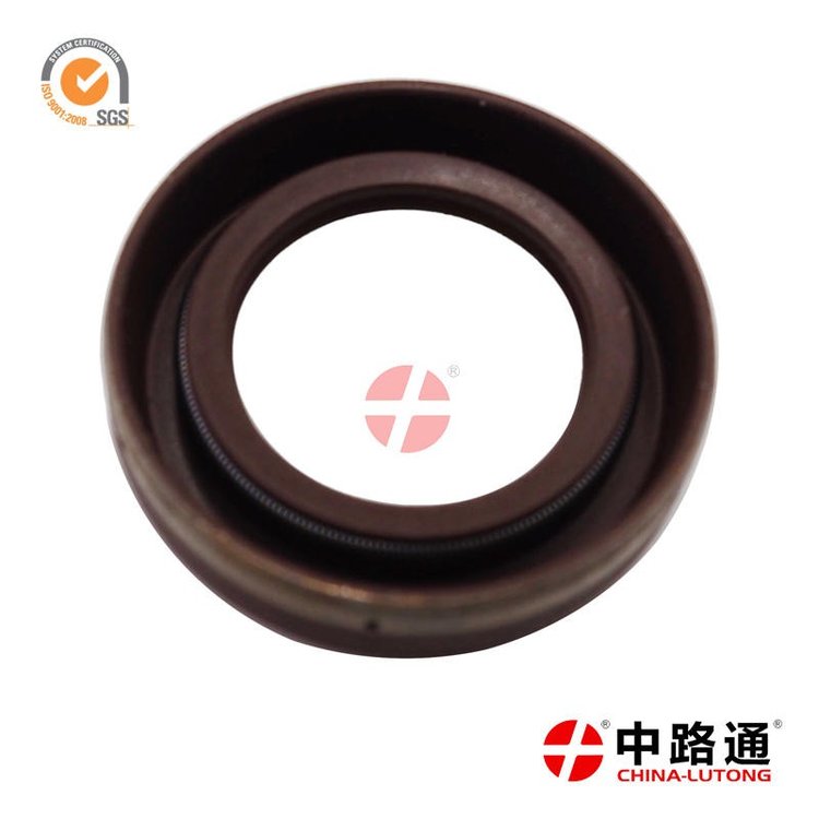 中路通生產(chǎn)VE泵配件油封30X42X6、29X41X7發(fā)動(dòng)機(jī)油封