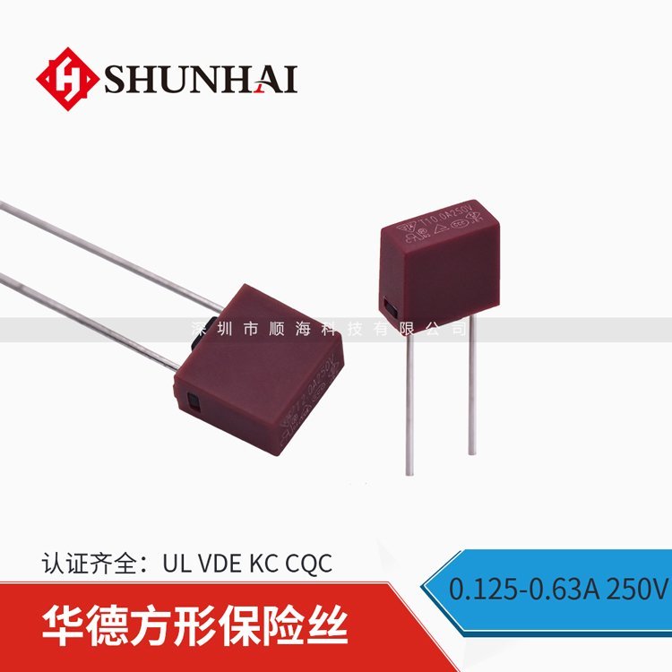 保險絲2010-T10A250V華德電流保護(hù)器順海科技代理