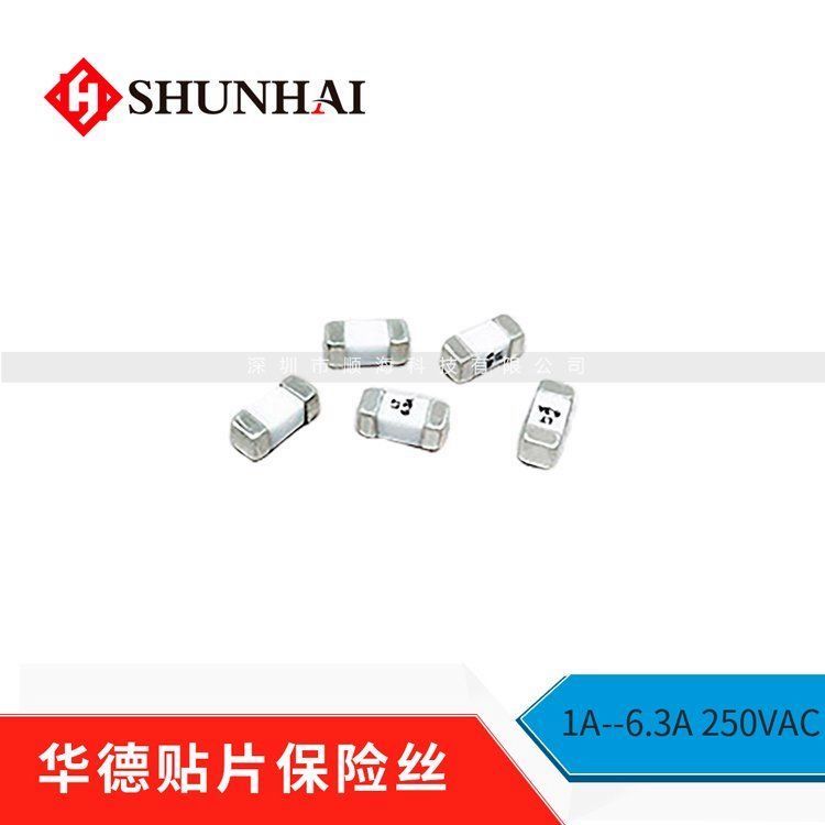 慢斷陶瓷保險絲2410LT5A000250R5A250V過流保護器
