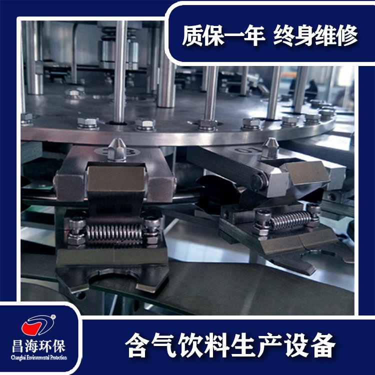 昌海PET瓶裝水生產(chǎn)線開(kāi)辦一個(gè)鄉(xiāng)村礦泉水廠設(shè)備山泉水生產(chǎn)線