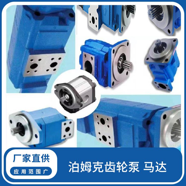 泊姆克齒輪泵馬達(dá)浩益順定制適用大動(dòng)力國標(biāo)高規(guī)格