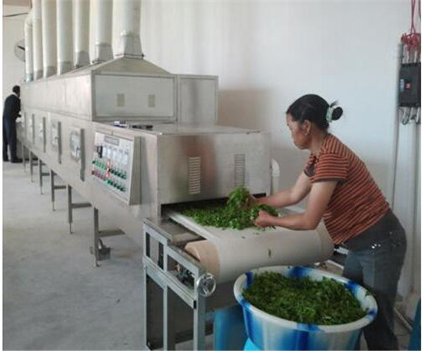 茶葉微波殺青烘干機(jī)隧道式不銹鋼小型工業(yè)微波殺菌設(shè)備