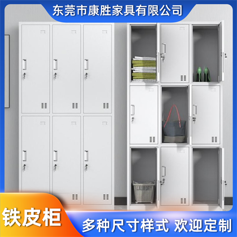 學生儲物柜宿舍2門鐵皮柜子康勝灰白色鋼制更衣儲存柜