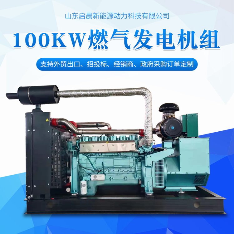 沼氣工程設(shè)備100kw燃氣發(fā)電機沼氣發(fā)電品牌啟晨動力