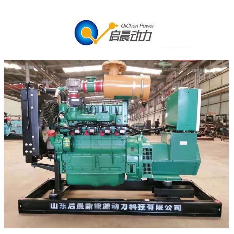 家庭型20kw沼氣發(fā)電機組糞污沼氣發(fā)電便捷方便資源再利用