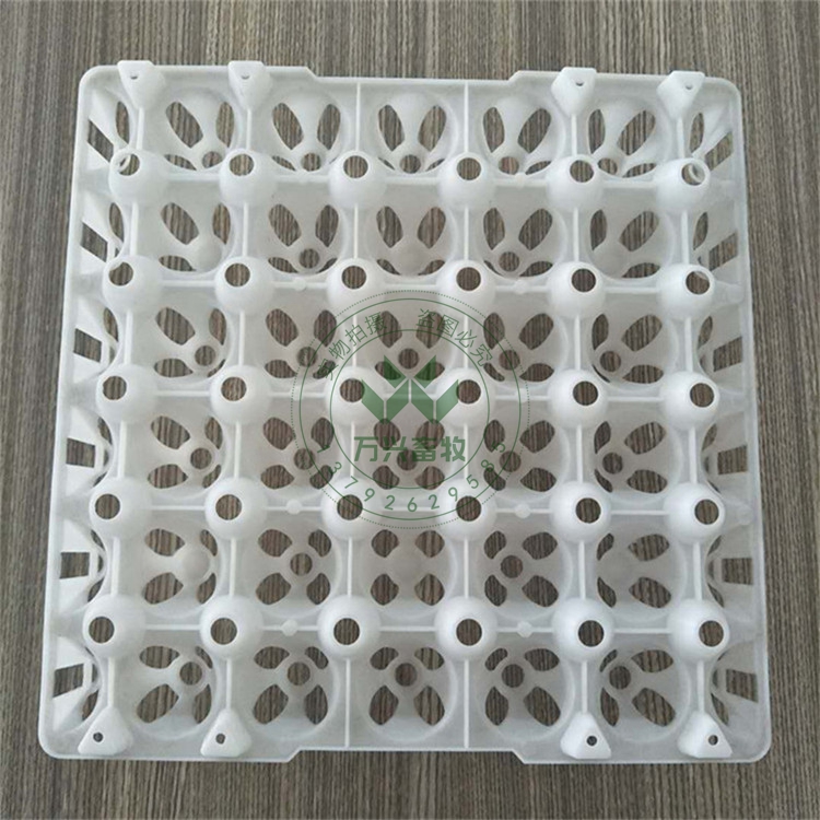 供應(yīng)萬興畜牧鴨蛋雞蛋用塑料蛋托規(guī)格290×290×50mm