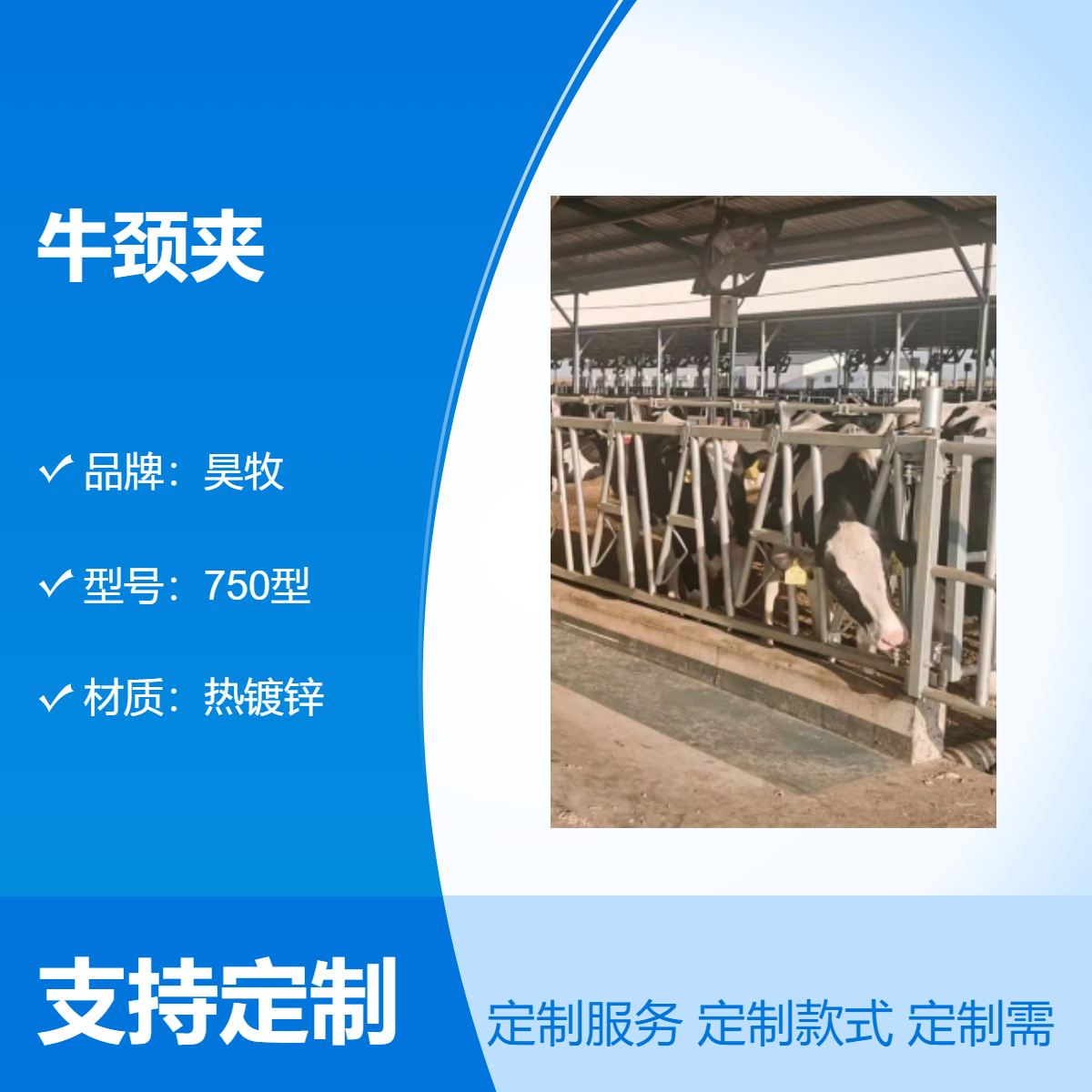 昊牧牛頸夾750型熱鍍鋅材質(zhì)養(yǎng)牛場(chǎng)設(shè)備6米8位牛頸枷支持定做