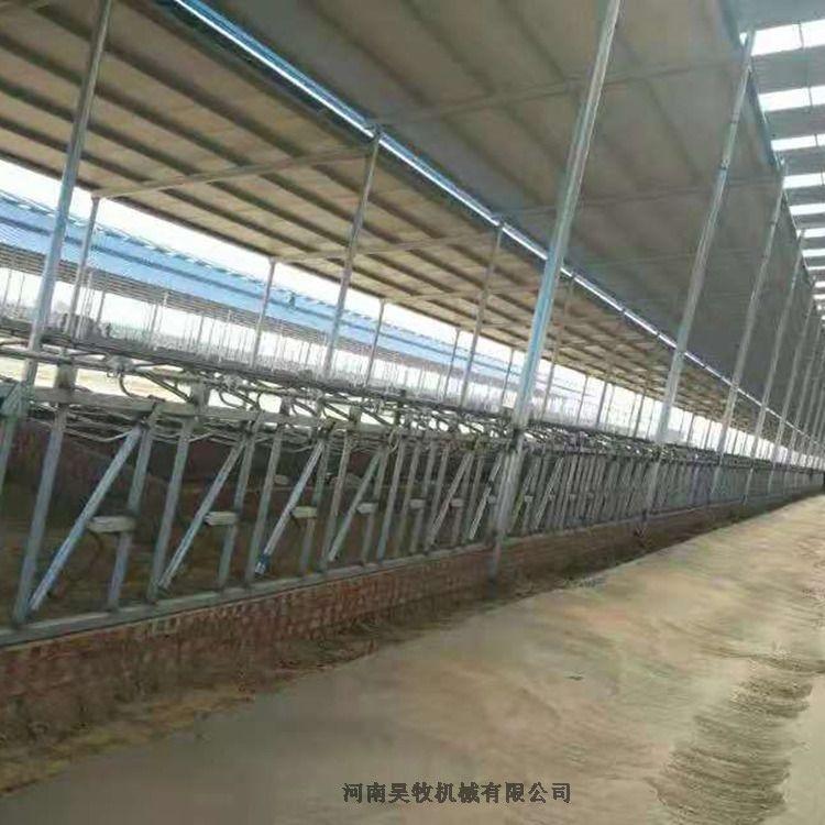 昊牧牛頸枷制造商奶牛場設(shè)備固定牛用架子牛頸夾