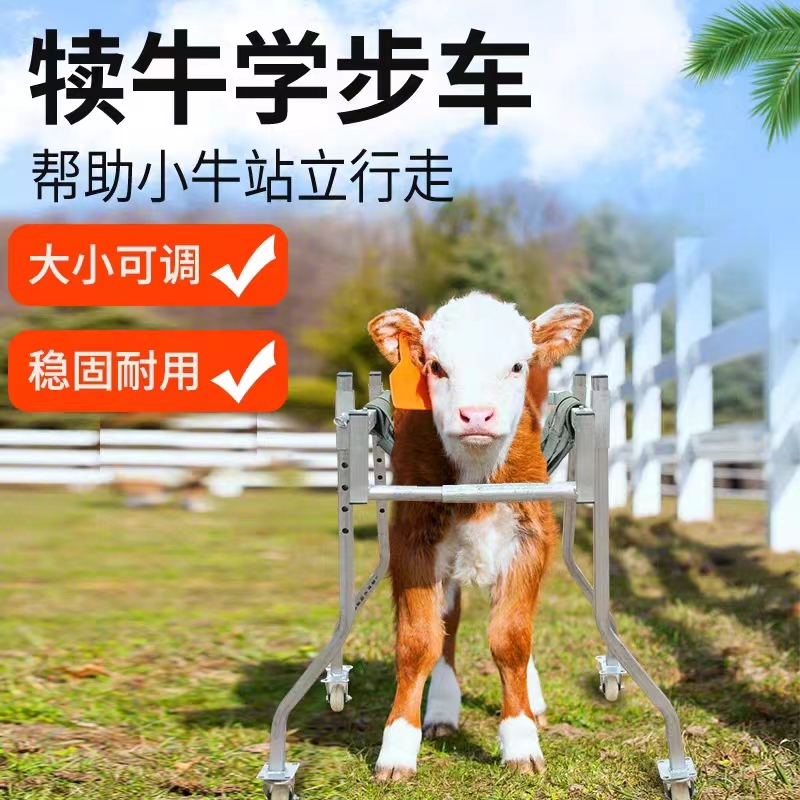 牛犢學(xué)步車大小尺寸可調(diào)節(jié)獸用癱瘓犢?？祻?fù)起立架輔助走路