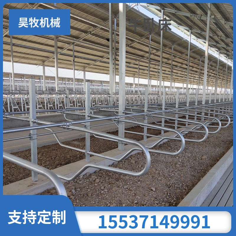 奶牛牧場牛臥床無焊接牛臥欄抱箍卡子連接限位欄